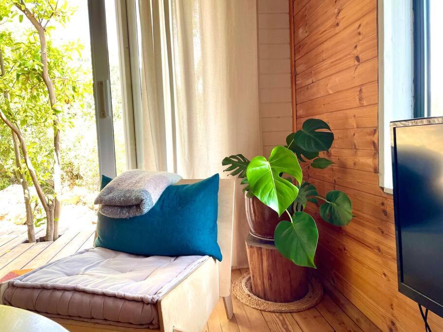 Solara Cabin Amirim Eksteriør billede